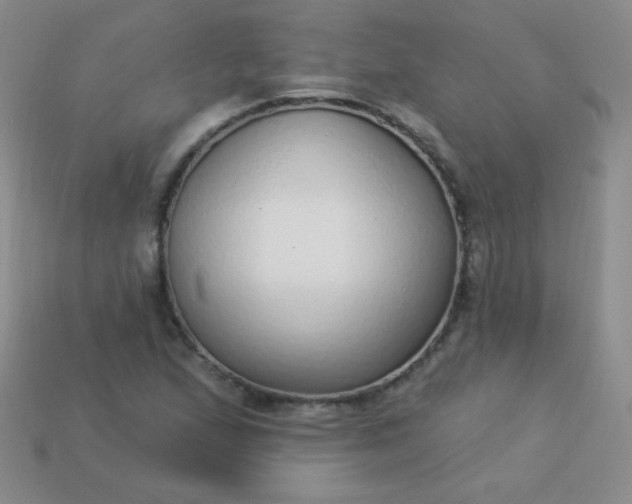 X0000113961167200910091623