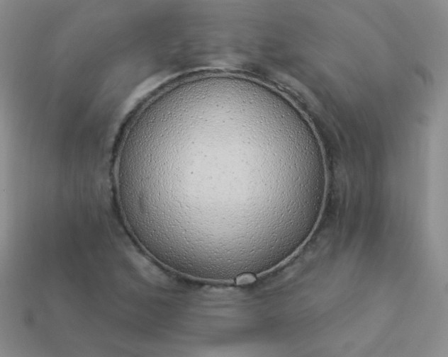 X0000113961168200910091623