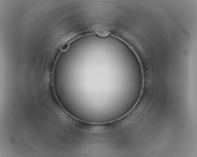 X0000113961169200910091623