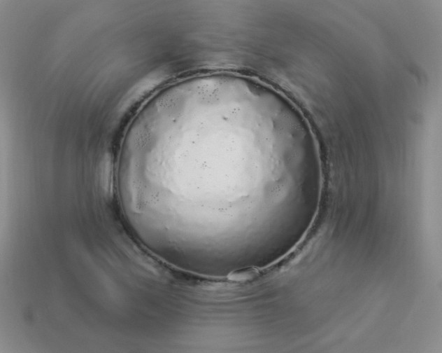 X0000113961171200910091623