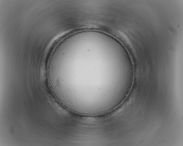 X0000113961172200910091623