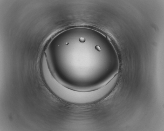 X0000113961173200910091623