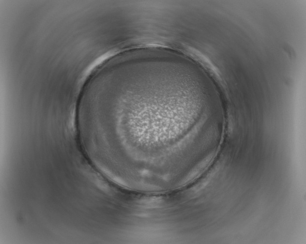 X0000113961174200910091623