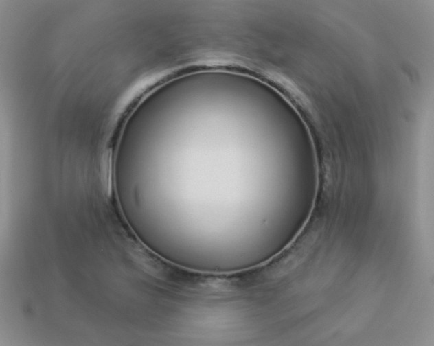 X0000113961175200910091623