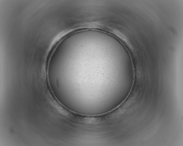 X0000113961176200910091623