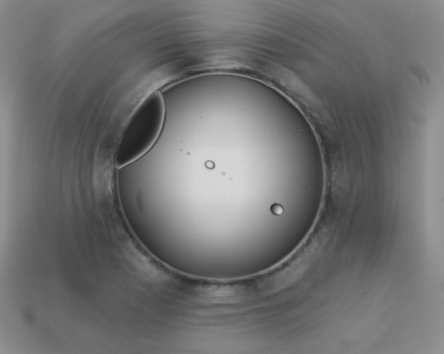 X0000113961177200910091623