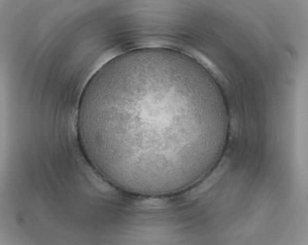 X0000113961178200910091623