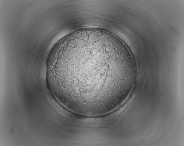 X0000113961179200910091623