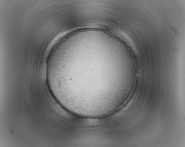 X0000113961180200910091623