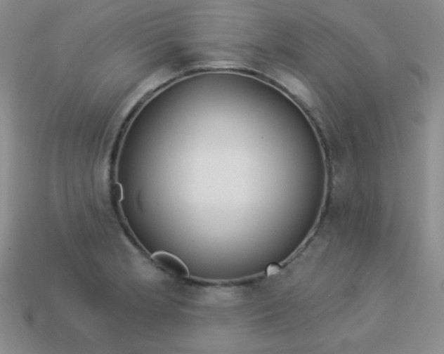 X0000113961181200910091623