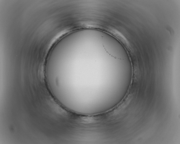 X0000113961182200910091623