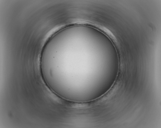 X0000113961183200910091623