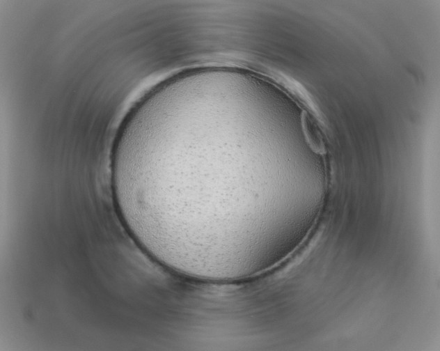 X0000113961184200910091623