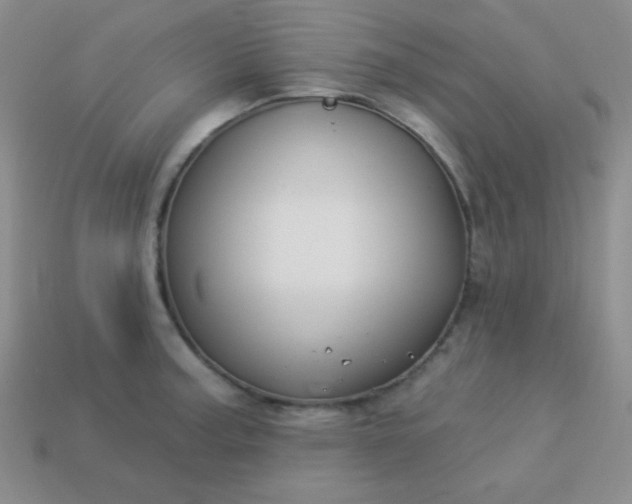 X0000113961187200910091623