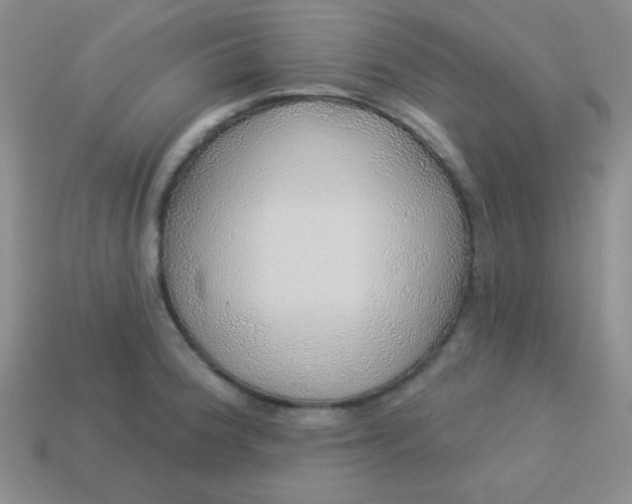 X0000113961188200910091623