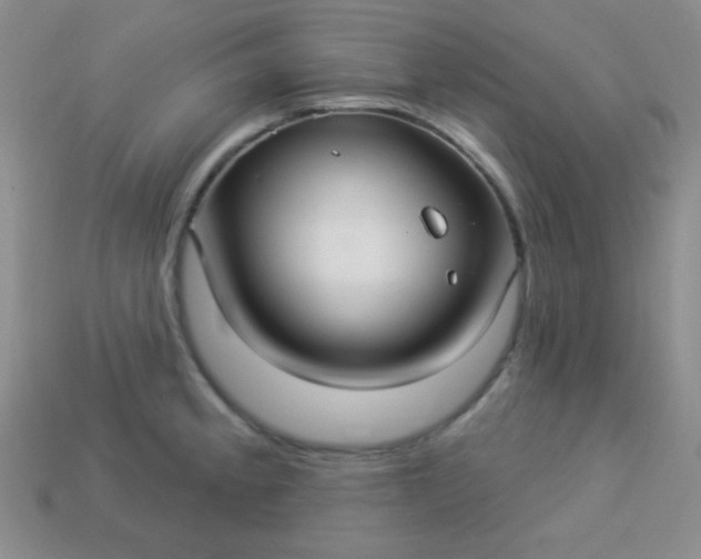 X0000113961189200910091623