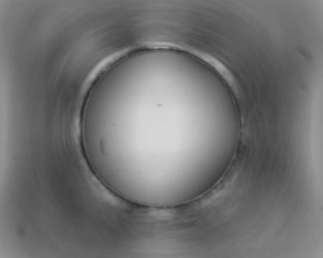 X0000113961191200910091623