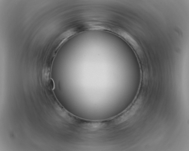 X0000113961193200910091623