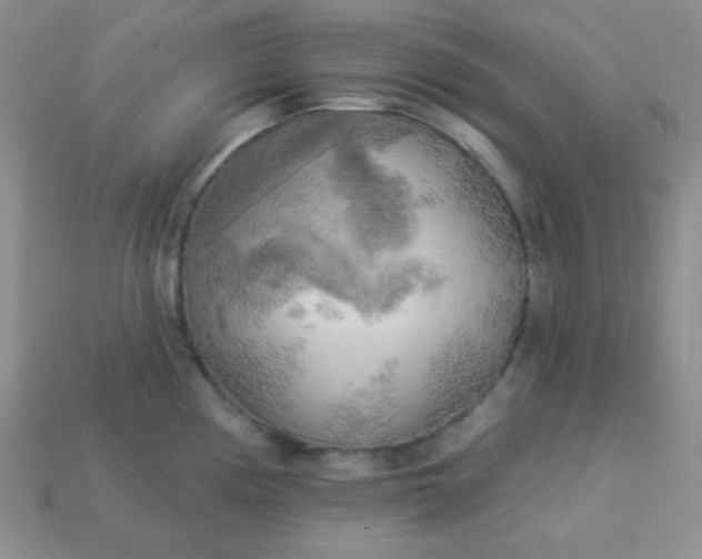 X0000113961194200910091623