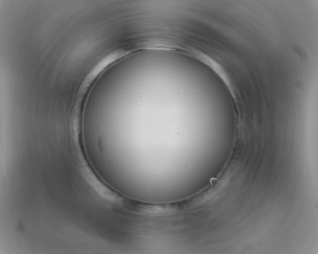 X0000113961195200910091623