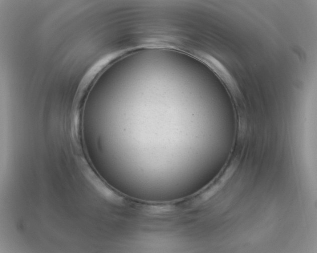 X0000113961196200910091623