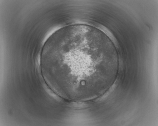 X0000113961198200910091623