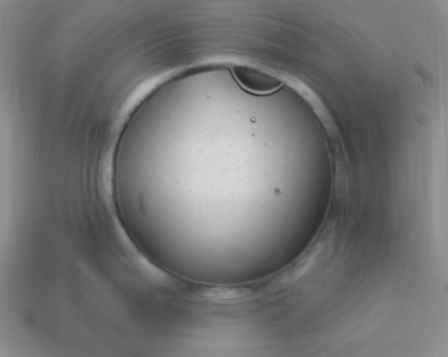 X0000113961199200910091623