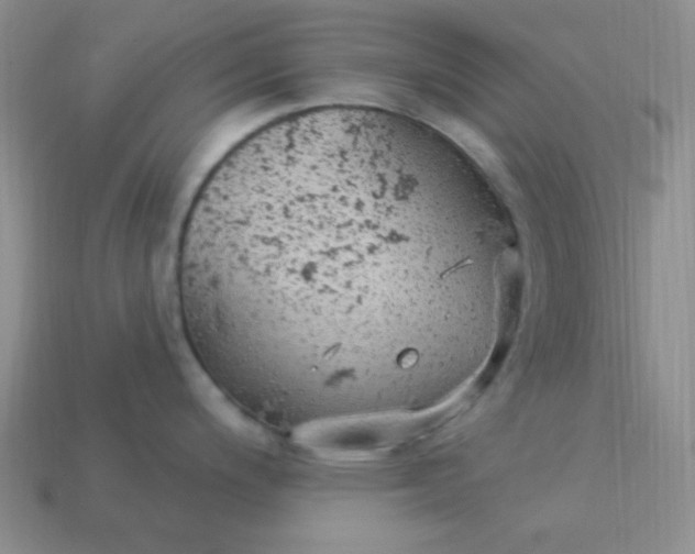 X0000113961200200910091623