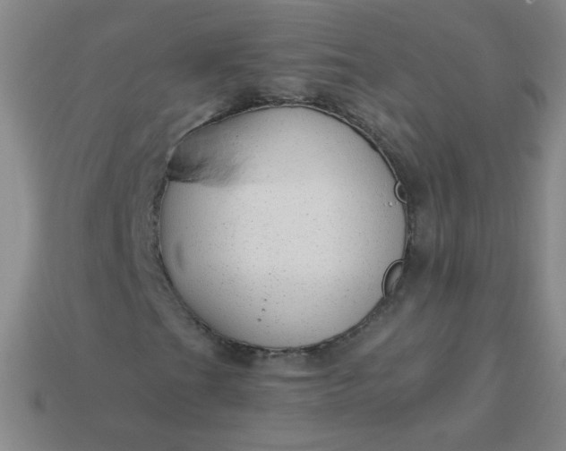 X0000113961201200910091622