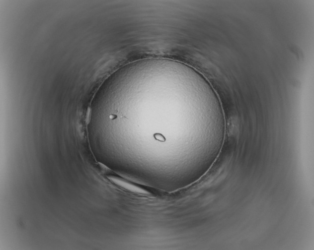 X0000113961202200910091622