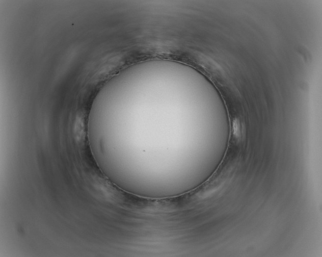 X0000113961203200910091622