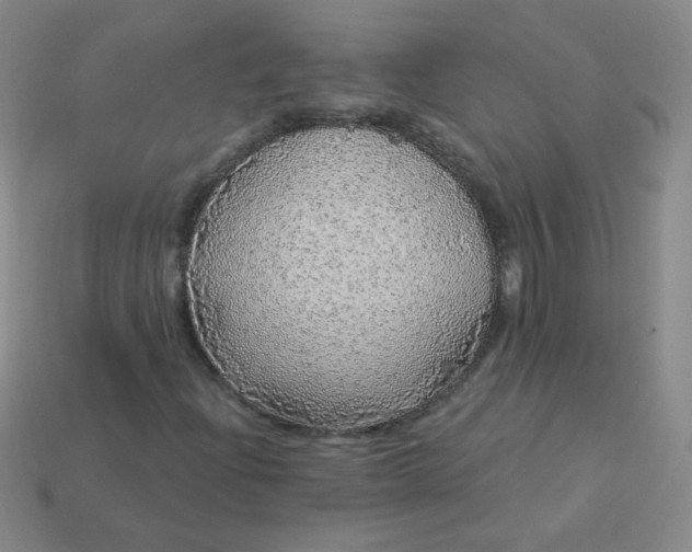 X0000113961204200910091622