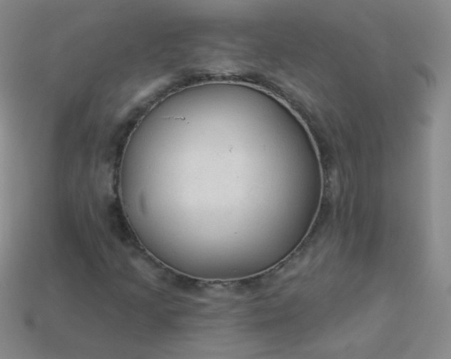 X0000113961205200910091622