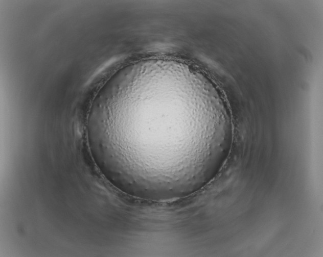 X0000113961206200910091622