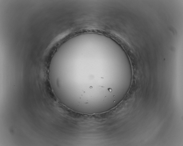 X0000113961207200910091622