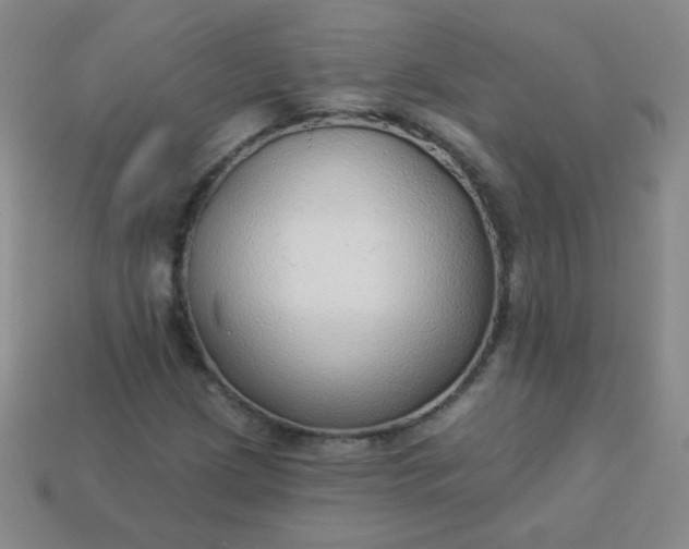 X0000113961209200910091622