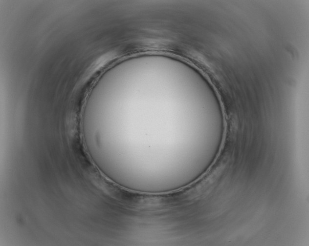 X0000113961211200910091622