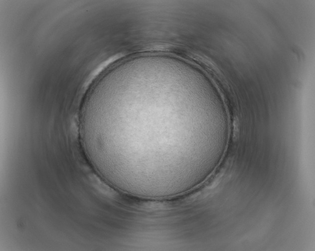 X0000113961212200910091622