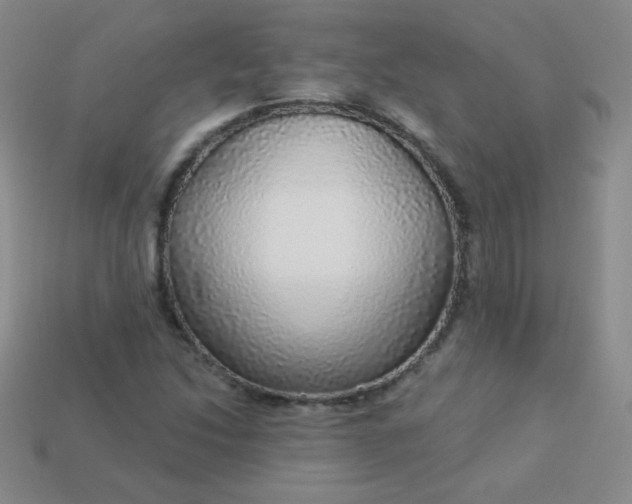 X0000113961214200910091622