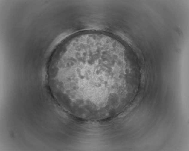 X0000113961215200910091622