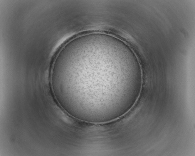 X0000113961216200910091622