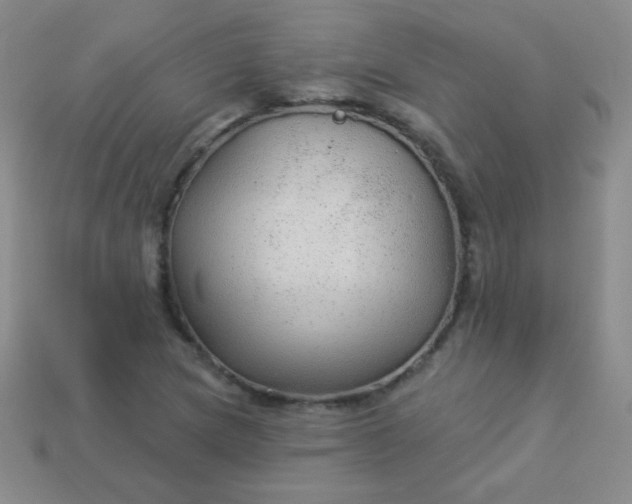 X0000113961217200910091622