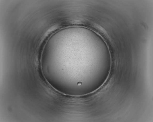 X0000113961218200910091622