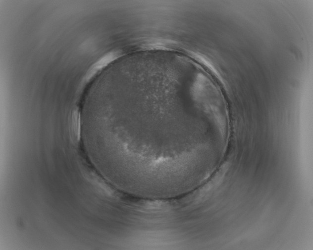 X0000113961219200910091622