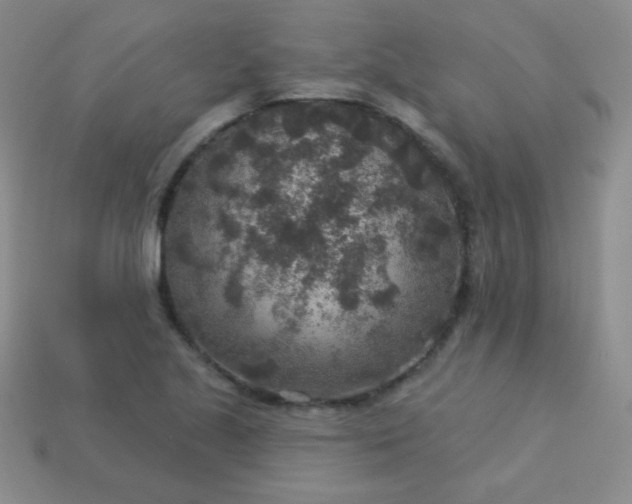 X0000113961221200910091622