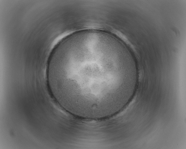 X0000113961222200910091622