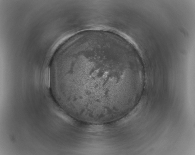 X0000113961223200910091622