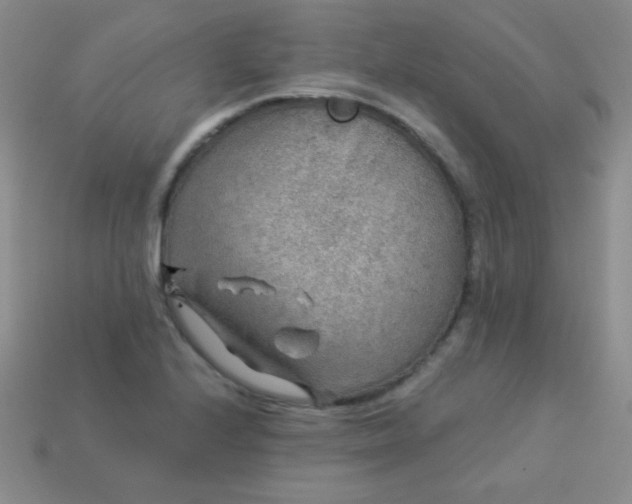 X0000113961224200910091622