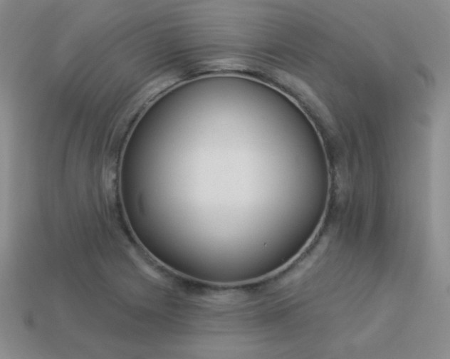 X0000113961225200910091622