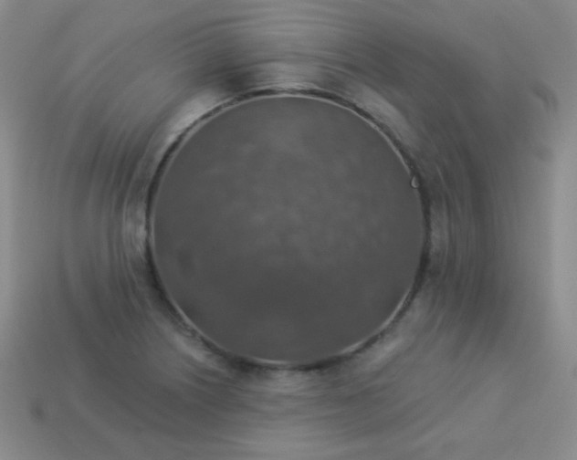 X0000113961226200910091622